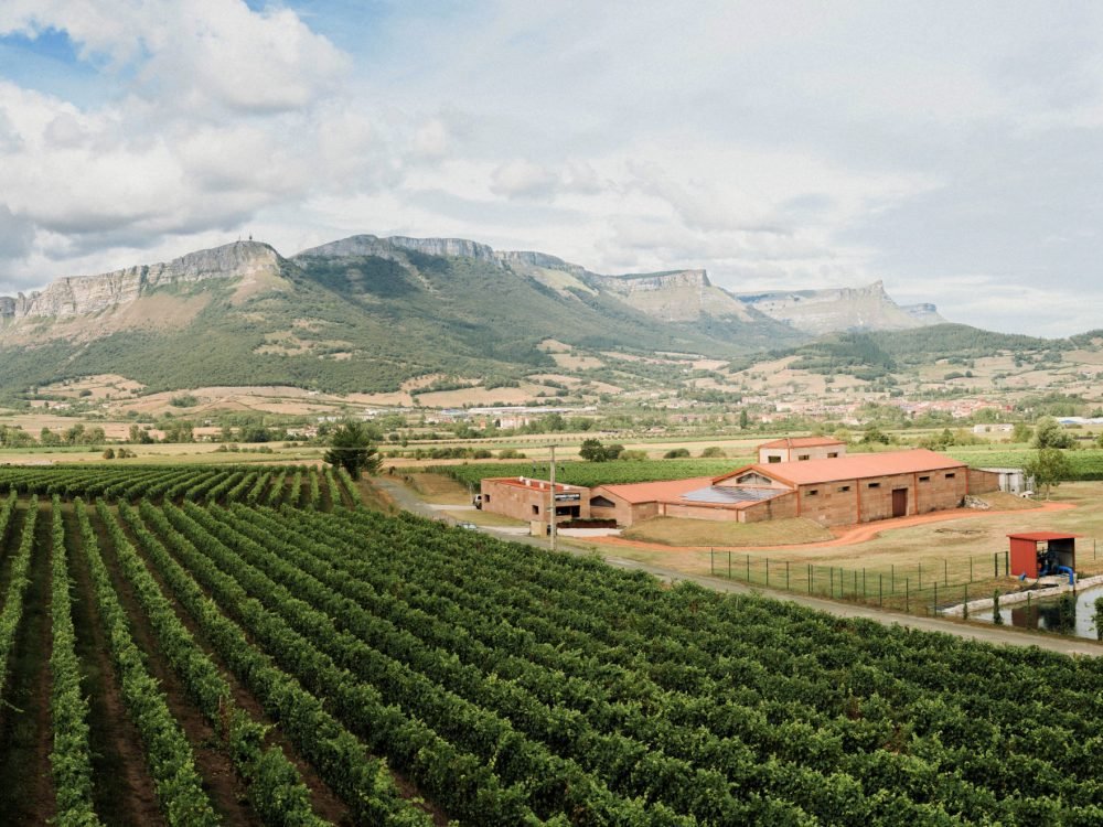 Artomaña_panoramica