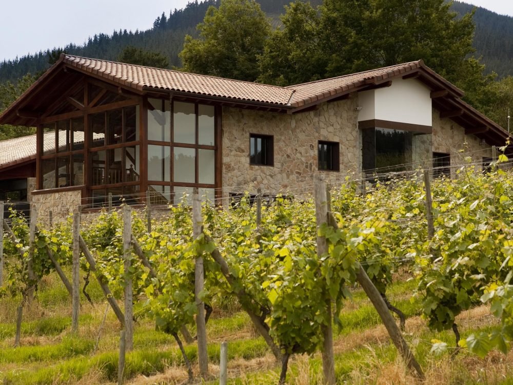 BODEGA Y VIÑEDO (1)