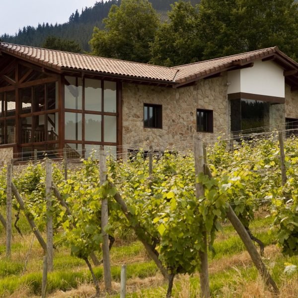 BODEGA Y VIÑEDO