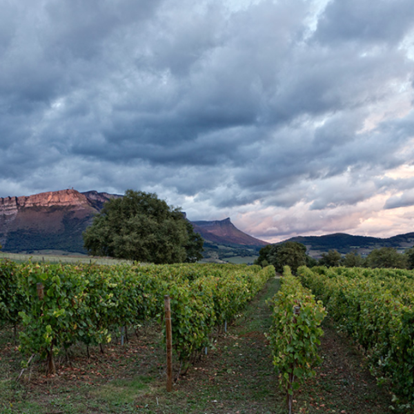 PAISAJE